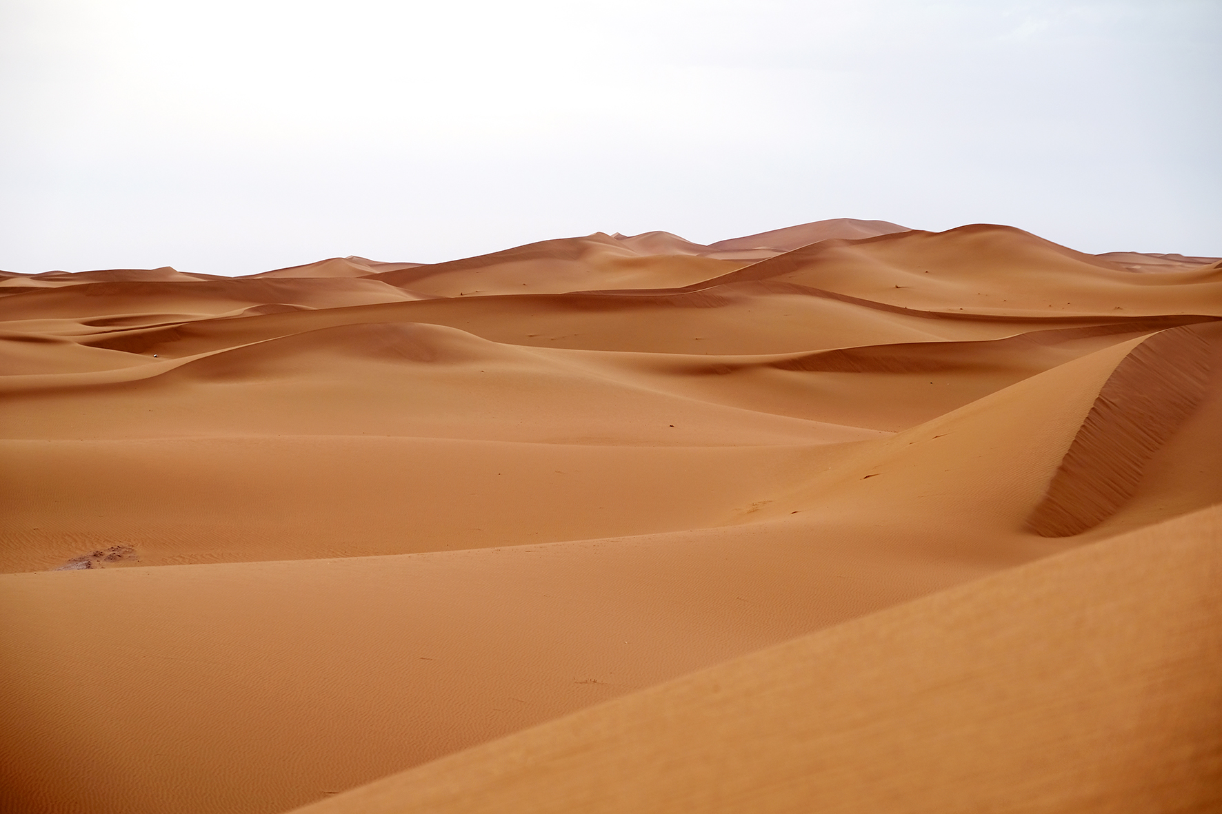 Elsbeth Neyens Mhamid Desert.jpg