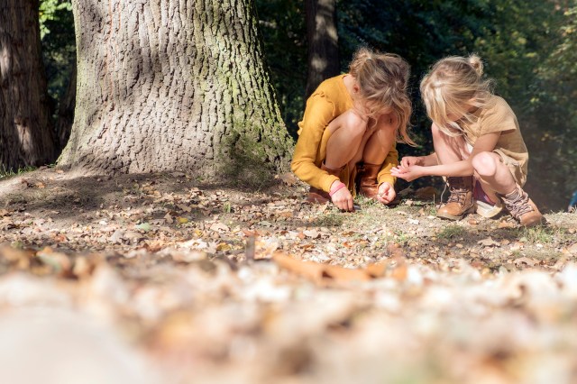 Elsbethfotografie Elsbeth Neyens herfst photoshoot bladeren